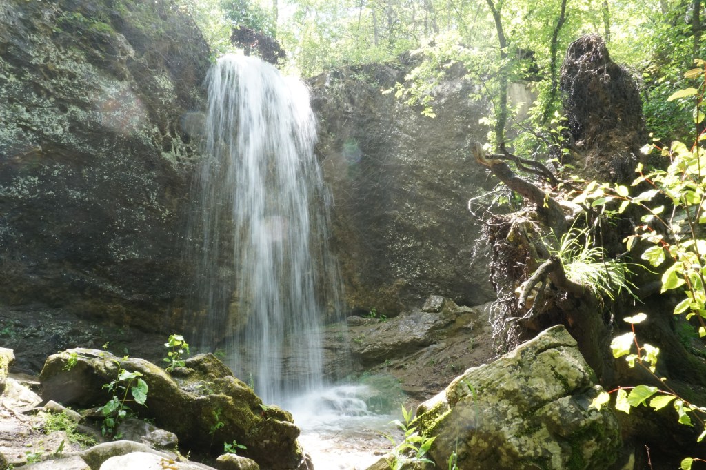 Arkansas Ozarks, May&nbsp;2020